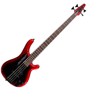 [중고] Tunes Standard bass